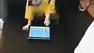 Собачка Хакер