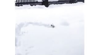 Коротко о погоде 2