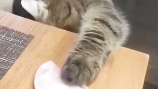 Пора бы и перекусить)