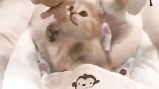Забавный котейко.)))