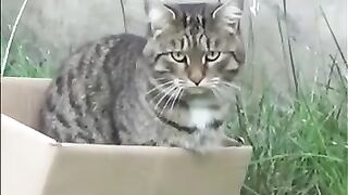 Поехали домой.))