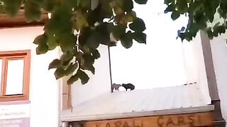 Мальчишки.)