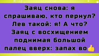 Анекдоты смешные до слёз! Очень смешные анекдоты до слёз для отличного настроения