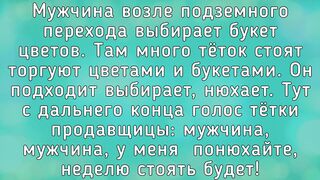 АНЕКДОТЫ | АНЕКДОТЫ ДЛЯ ОТЛИЧНОГО НАСТРОЕНИЯ!