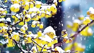 Happy Week.  Счастливой недели.