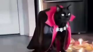 Красота страшная сила!)))