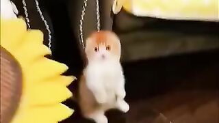 Мимичное видео.)))