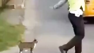 Респект полицейскому.)