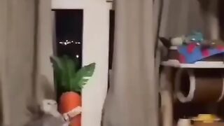 Дикие танцы!:)