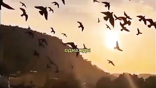 «Нам нужен мир, где мир где нет войны...