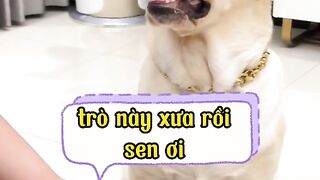 Funny videos from Tik Tok
