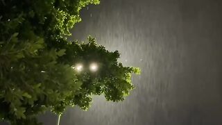 caput#TIKTOK#trending#templates#febspot#nature#youtube#reels#shorts#viral
