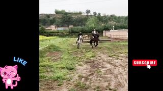 Best viral funny moments of the year complitation ????????2023