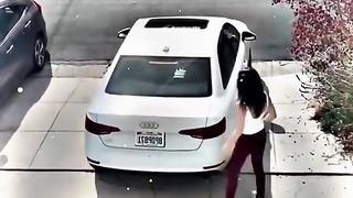 Funny videos from Tik Tok