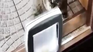 Легендарная битва????????