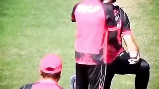 Cricket