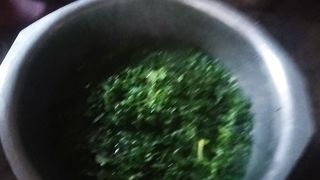 Recipe for chopping fresh greeng part17