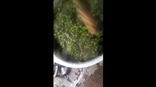 Recipe for chopping fresh greeng part21