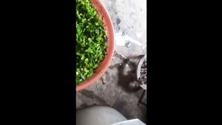 Recipe for chopping fresh greeng part23