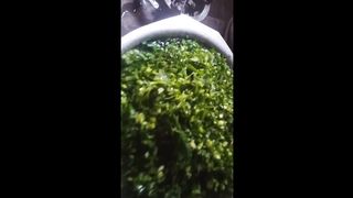 Recipe for chopping fresh greeng part24