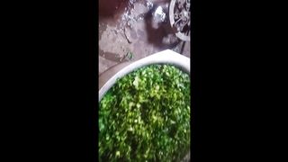 Recipe for chopping fresh greeng part25