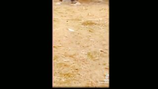 Funny clips amazing
