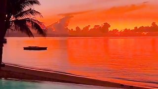 natural videos