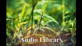 After Rain — Zackross - Free Background Music - Audio Library