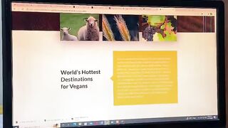 Website developer video tutorial