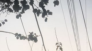 Morning time