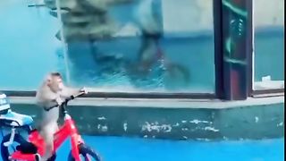 Best Of the funny video || Follow for more videos.