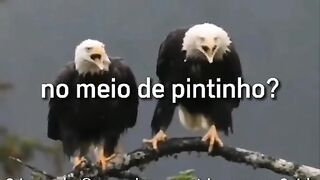 Mensagens motivacionais, se escreva e comenta que sigo vc de volta