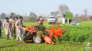 Grass cutting