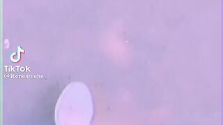 funny tik tok videos amezing