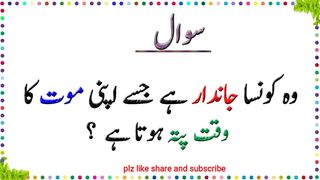Education