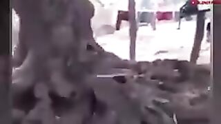 Funniest animals