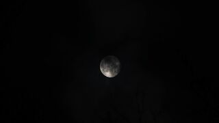Moon Night