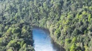 8 Incredible Rainforest Destinations Around the World #shorts #shortsfeed