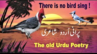 Urdu poetry