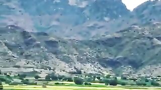 Beauty of Pipal