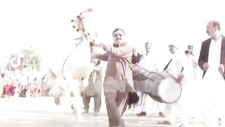 Horse dance