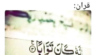 quotes||quranic quotes||