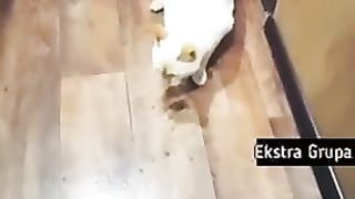 Confundi whisky com ração