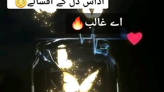 Best WhatsApp status tiktok status