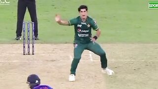 Cricket ???? lovers