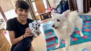 Fake Dog Prank On Oreo ????
