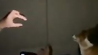 Best of the funny video for you || Follow for more videos.