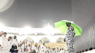 Holly kaba