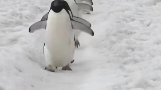 Watch and feel relaxed