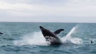 Beauty of nature